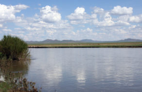 post-image